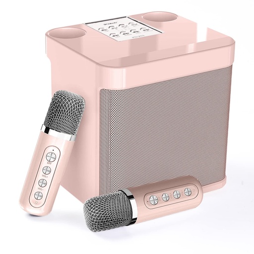 MEIMI PORTABLE KARAOKE WITH TWO MICROPHONES MK30